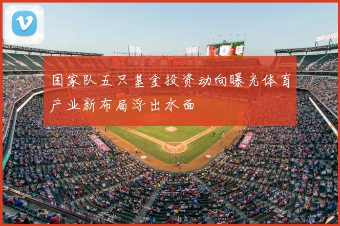 国家队五只基金投资动向曝光体育产业新布局浮出水面